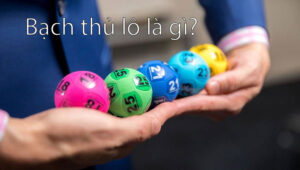 Bạch thủ lô là gì?