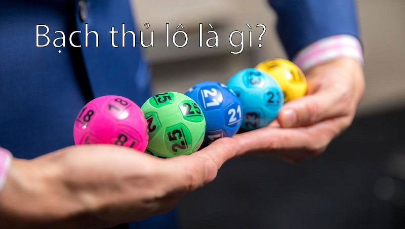 Bạch thủ lô là gì?